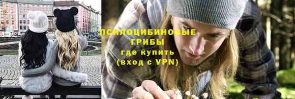 МДМА Бородино